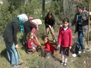 Muğla'da Okullara 4 Bin 500 Fidan Dikildi