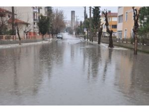 Edirne’de Dondurucu Soğuk Yerini Yağmura Bıraktı