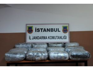 Jandarmadan Uyuşturucu Operasyonu