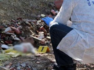 Bunu yapan insan olamaz!