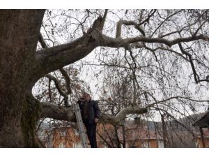 Her Şey Telefonla Konuşmak İçin