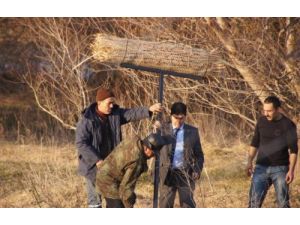 Osmaniye'de Su Kuşlarına Yuva Yapıldı