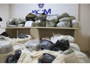 İzmir Uyuşturucu Esrar Maddesinde Türkiye İkincisi