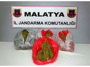 Malatya'da 10 Kilo Esrar Ele Geçirildi