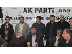 Ceylanpınar Akp Ti İlçe Teşkilatından Toplu İstifa.