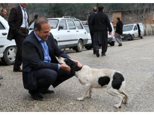 "Hayvanları Doğal Yaşam Alanlarına Kavuşturacağız"