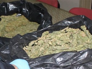 Konya'da 204 kilo 855 gram esrar ele geçirildi