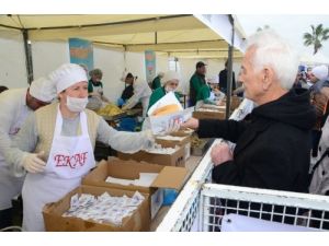 5. Hamsi Şöleni’nde 10 Ton Hamsi Dağıtıldı