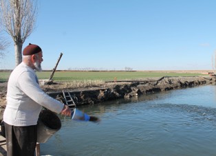 Ova'nın ortasında balık üretiyor