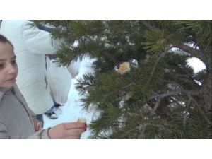 Damallı Çocukların Duyarlılığı