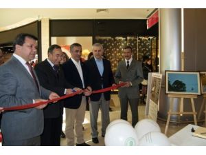 Sulak Alanlar Fotoğraf Karelerinde