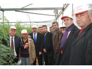 Silifke'de Tarla Günü Düzenlendi