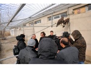 Van Ve Çevre İllerdeki Yaralı Hayvanlar Otel Konforunda Tedavi Edilecek