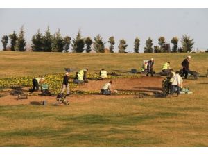 Denizli Belediyesi Çiçek Dikti