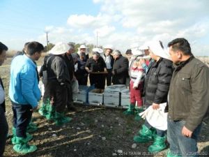 Uygulamalı 'Arıcılık' Semineri