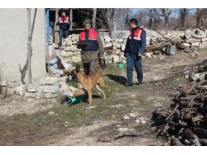 Jandarmadan Uyuşturucu Operasyonu