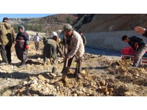 Silifke’de 1 Milyon Fidan Dikilecek