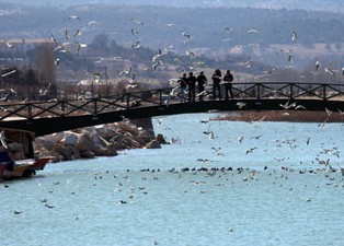 Beyşehir Gölü'nde 153 kuş türü yaşıyor