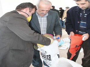 Çiftçiler zehirli buğday için sıraya girdi