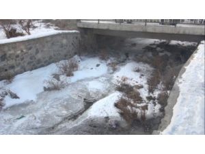 Ardahan'da 10 Kilometrelik Dere Komple Dondu
