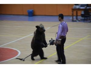 Kazakistan Devlet Sirki, İskenderun'da Heyecanlı Anlar Yaşattı