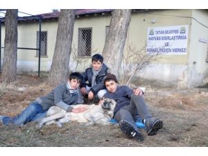 Öğrenciler Hayvanlara Gönüllü Bakıcılık Yapıyor
