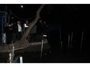 Minik Ömer Kağan, Ağaç Dalındaki 3 Saatlik Hayat Mücadelesini Kaybetti