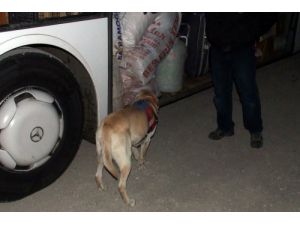 Amasya’da 12 Kilo 200 Gram Eroin Ele Geçirildi