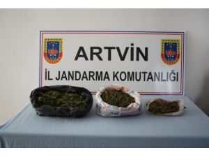 Hopa'da 1 Kilo 357 Gram Esrar Ele Geçirildi, 1 Kişi Tutuklandı