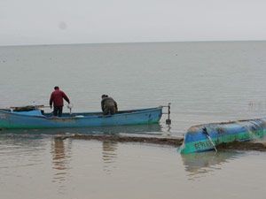 Canlanan sulak alan Beyşehir Gölü