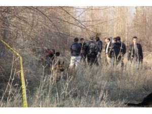 Diyarbakır Polisi Hevsel Bahçeleri'nde Bomba Aradı