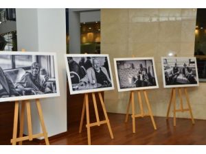 Alzheimerin İlacı Sosyal Yaşam Ve Hareket