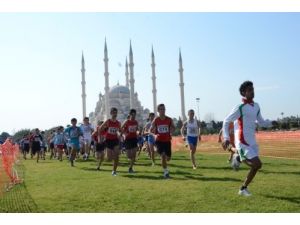 Okullar Arası Kros Türkiye Grup Birinciliği Müsabakaları Yapıldı