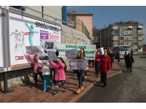 Kedi Vahşetine Ereğlili Hayvanseverlerden Tepki