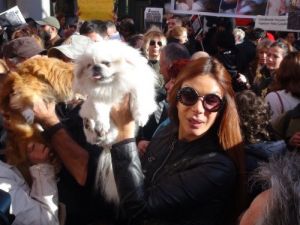 Kedi İşkencesi, Hayvanseverleri Sokağa Döktü