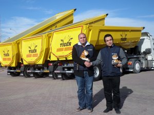 Maraşlı Tiger Havuz Damper'i tercih ediyor