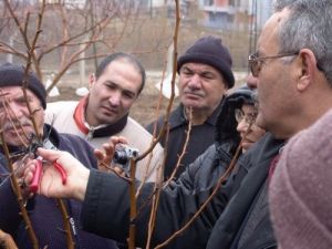Başkentli Çiftçilere Meyvecilik Eğitimi Verilecek