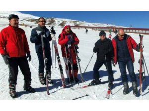 Kar Kaplanları Kayak Yapmayı Öğreniyor