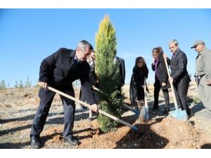 Şahinbey’e 5 Yılda 290 Bin Ağaç Dikildi