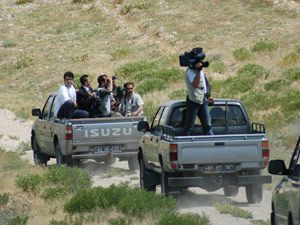 Yaban koyununun fotoğrafını çekmek parayla