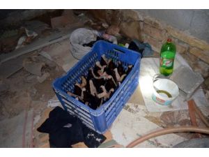 Mersin'de 52 Motolof İle 2 El Yapımı Patlayıcı Ele Geçirildi