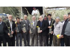 Aydın'da Köylülere 17 Bin Fidan Dağıtıldı