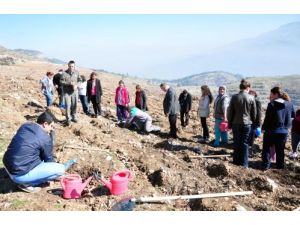 Hastane Çalışanları Ve Hastalar Hatıra Ormanı Oluşturdu