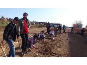 İlköğretim Öğrencilerinden Ağaç Dikim Kampanyası