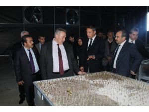 Orman Bölge Müdürlüğü Fidanlıklarında Bu Yıl 8 Milyon Fidan Üretilecek