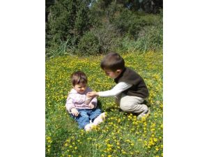 Baharın Müjdecisi Olan Cemrenin İlki 20 Şubat'ta Havaya Düştü