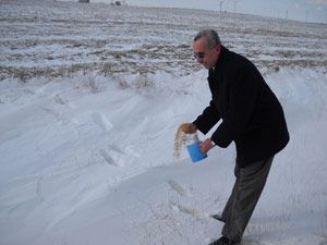 Karapınar Belediyesi doğaya yem bıraktı