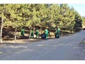 Mamak Belediyesi'nden Orman Temizliği