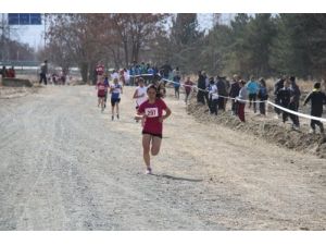 Kros Yarışlarında Öğrenciler Baygınlık Geçirdi