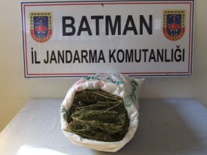 Batman’da 12 Kilo Esrar Ele Geçirildi